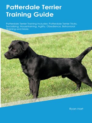 cover image of Patterdale Terrier Training Guide Patterdale Terrier Training Includes